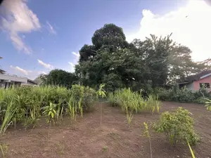 Land for Sale Galle Dangedara