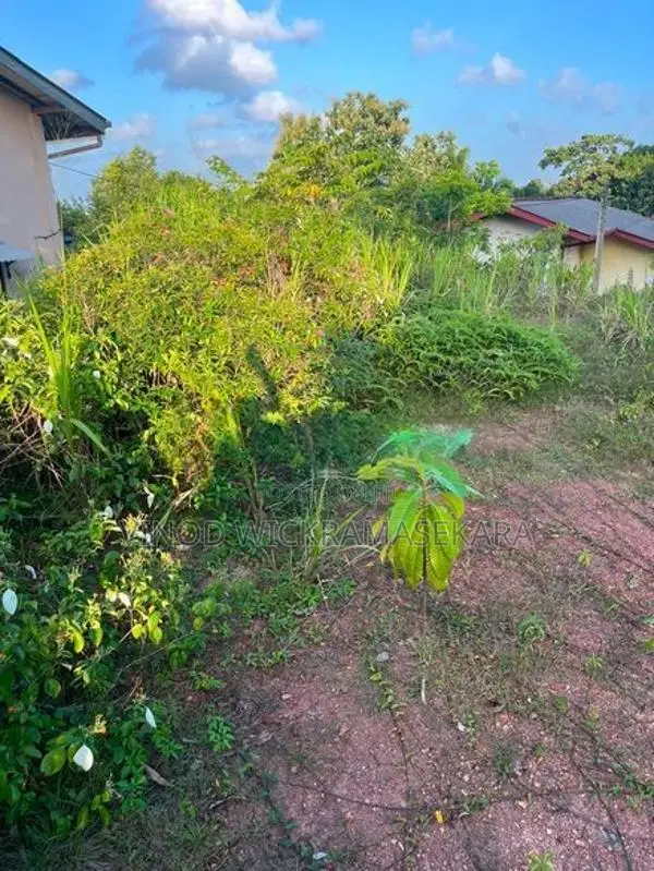 Land for Sale Galle Dangedara