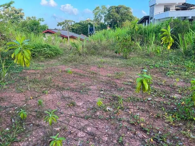 Land for Sale Galle Dangedara