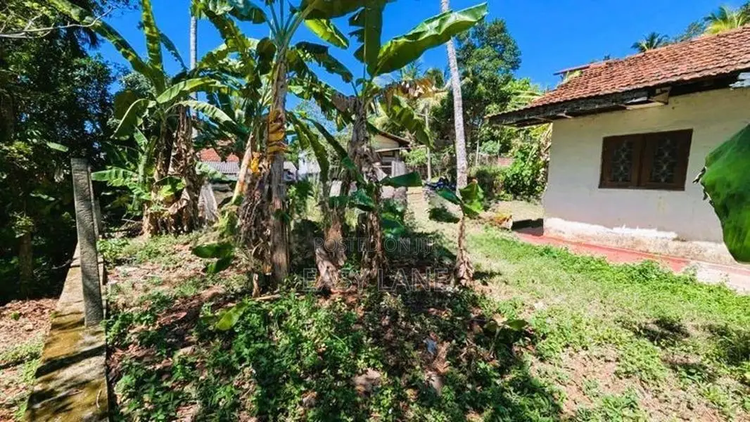 ඉඩමේ වටිනාකමට නිවස / CA 12565