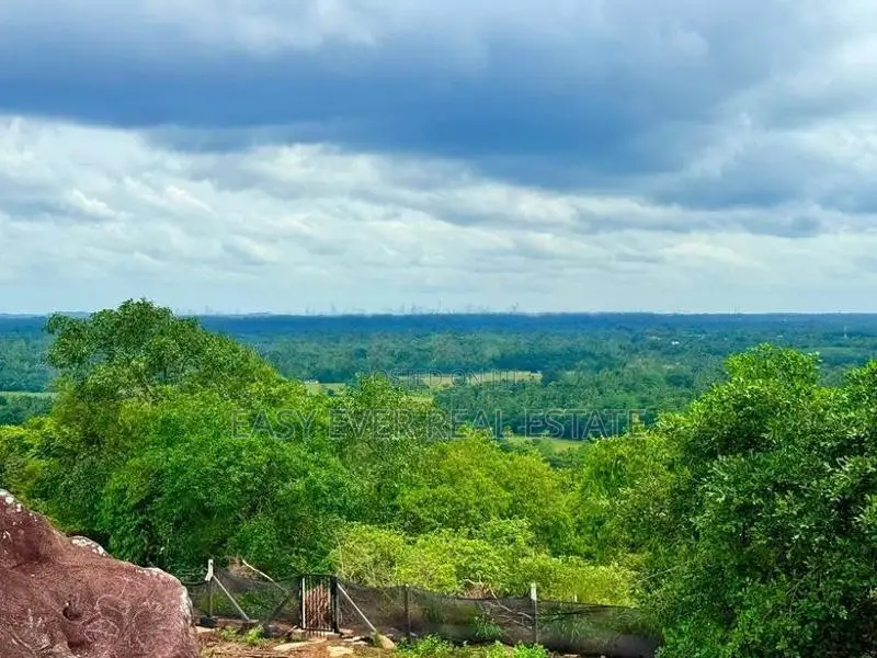 කොළඹට ආසන්නව සරුසාරවත් පොල් වගාව සමඟ 360° View Point එකක් / KK 16199