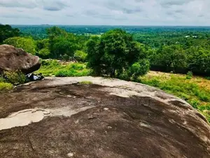 කොළඹට ආසන්නව සරුසාරවත් පොල් වගාව සමඟ 360° View Point එකක් / KK 16199