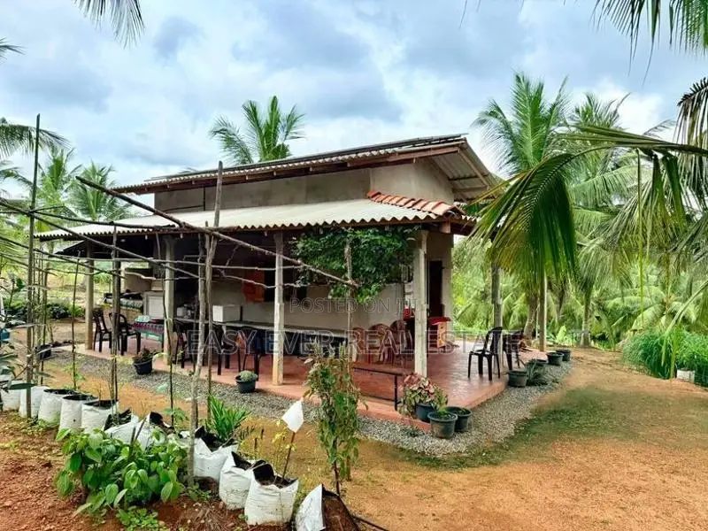 කොළඹට ආසන්නව සරුසාරවත් පොල් වගාව සමඟ 360° View Point එකක් / KK 16199