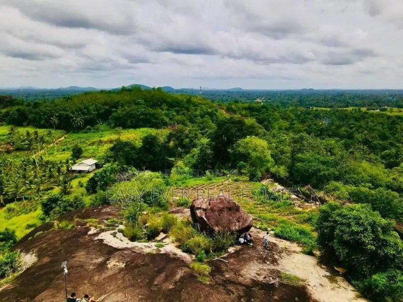 කොළඹට ආසන්නව සරුසාරවත් පොල් වගාව සමඟ 360° View Point එකක් / KK 16199