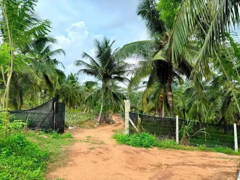 කොළඹට ආසන්නව සරුසාරවත් පොල් වගාව සමඟ 360° View Point එකක් / KK 16199