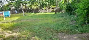 8 Perches Land for Sale with A House - Colombo 05
