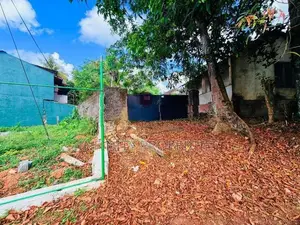 (AF196) 42.9 P Bare Land Sale At Facing Lake Road Thalawathugoda