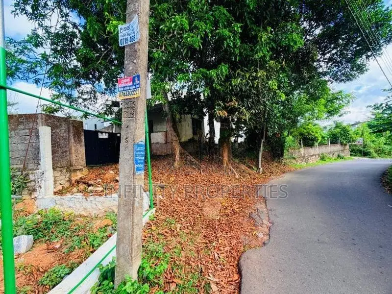 (AF196) 42.9 P Bare Land Sale At Facing Lake Road Thalawathugoda