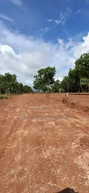 කැස්බෑ වෙරළ තීරයක් අසලින් ඉඩමක්