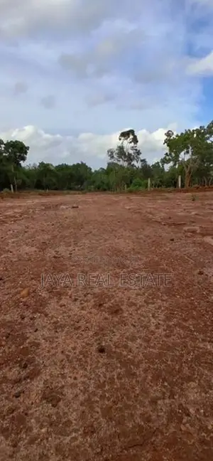 කැස්බෑ වෙරළ තීරයක් අසලින් ඉඩමක්
