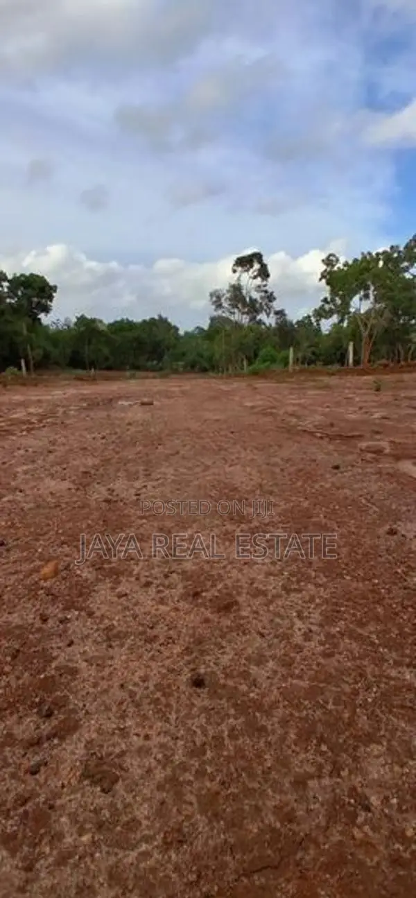 කැස්බෑ වෙරළ තීරයක් අසලින් ඉඩමක්