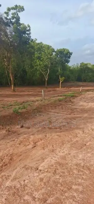 කැස්බෑ වෙරළ තීරයක් අසලින් ඉඩමක්