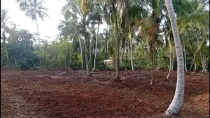 Land For Sale Bangalawatha,beruwala (UC Area)