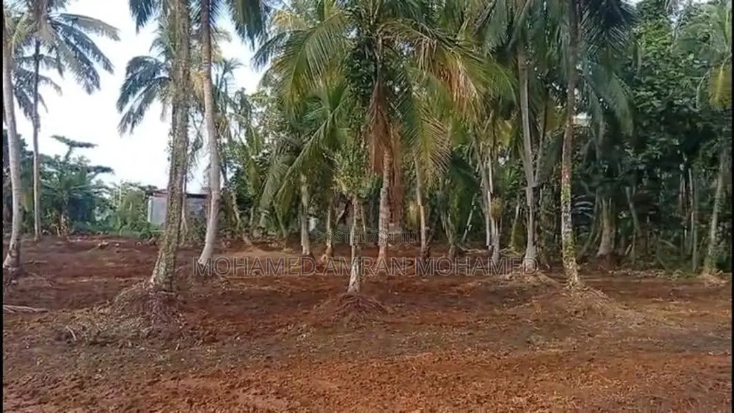 Land For Sale Bangalawatha,beruwala (UC Area)