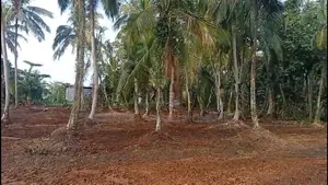 Land For Sale Bangalawatha,beruwala (UC Area)