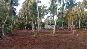 Land For Sale Bangalawatha,beruwala (UC Area)