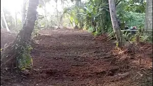 Land For Sale Bangalawatha,beruwala (UC Area)