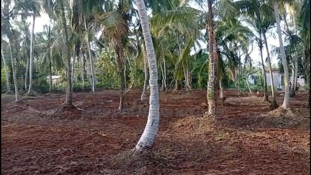 Land For Sale Bangalawatha,beruwala (UC Area)