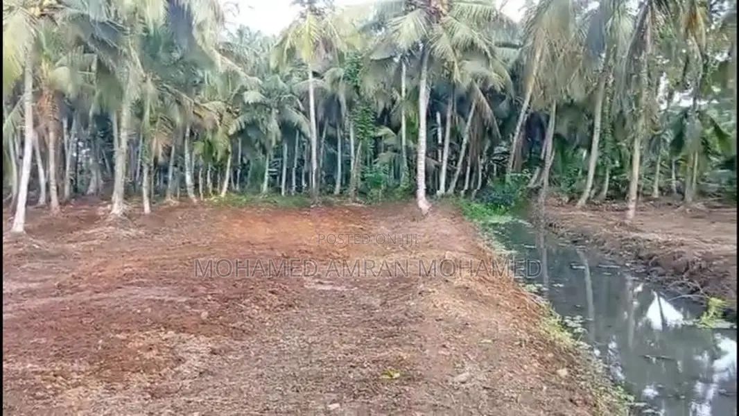 Land For Sale Bangalawatha,beruwala (UC Area)