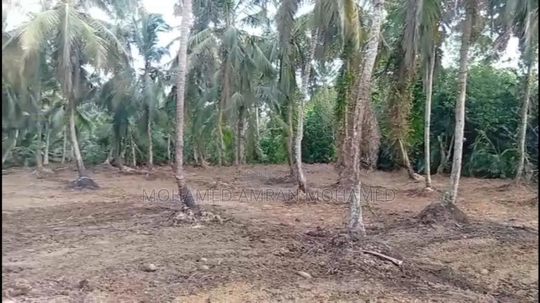 Land For Sale Bangalawatha,beruwala (UC Area)