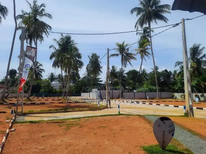 Walana Junction Land for Sale T01
