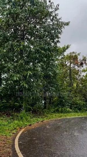 Mountain Land for Sale – Lakshapana