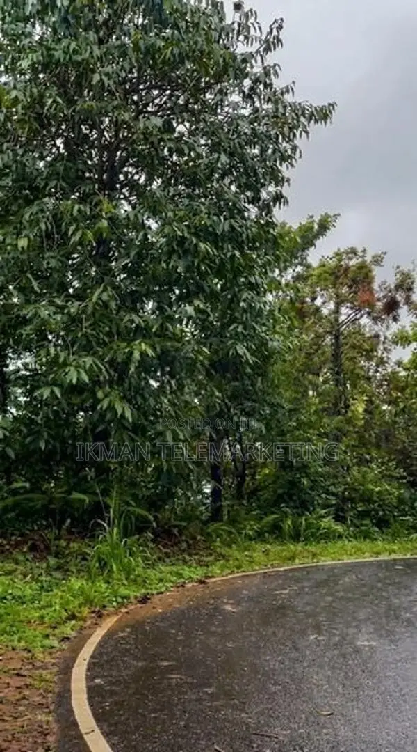 Mountain Land for Sale – Lakshapana