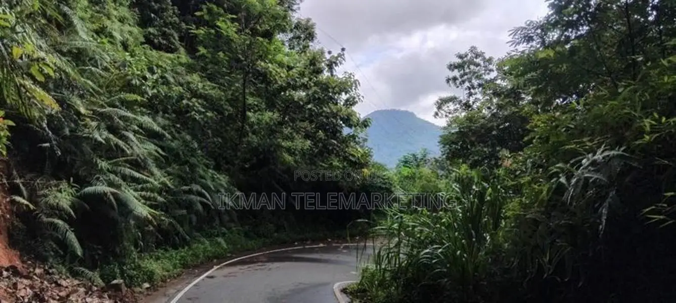 Mountain Land for Sale – Lakshapana