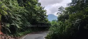 Mountain Land for Sale – Lakshapana
