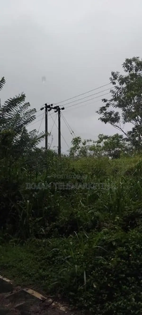 Mountain Land for Sale – Lakshapana