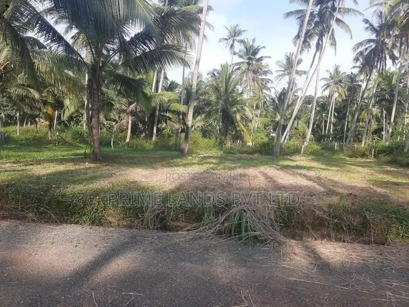 නාරම්මලින් සුපිරි ඉඩමක්