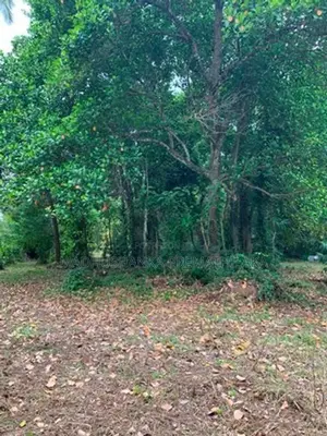 Land for Sale Gokarella
