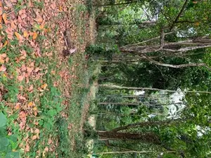 Land for Sale Gokarella