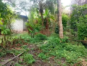 12.5 Perches Land for Sale in Katunayaka,andiambalama.Katunayaka.Gampa