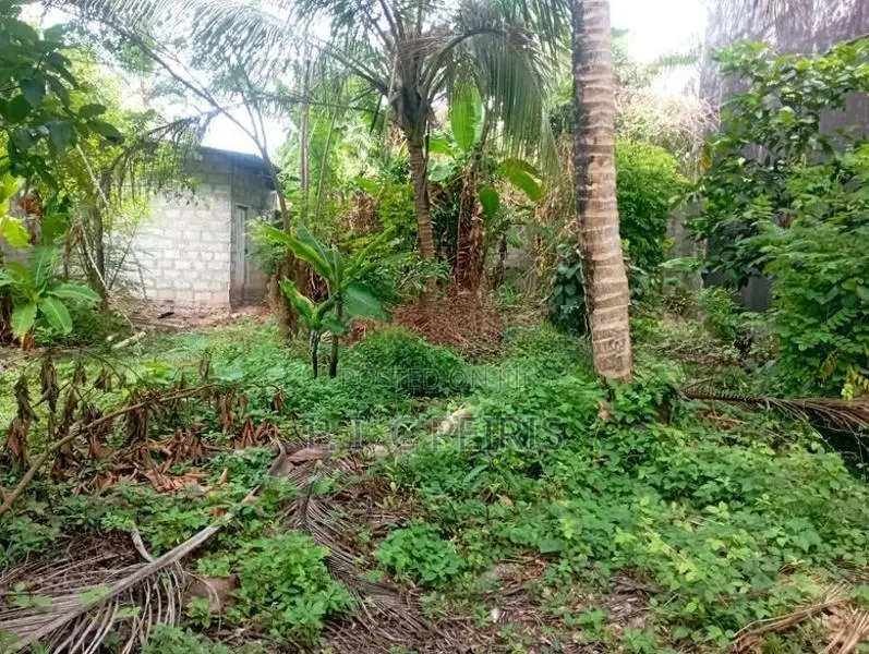 12.5 Perches Land for Sale in Katunayaka,andiambalama.Katunayaka.Gampa