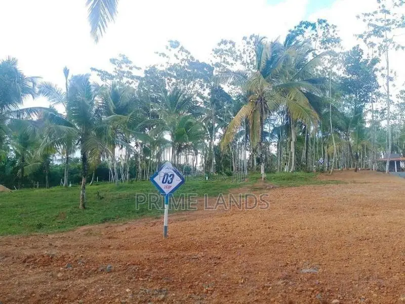 Land Plots in Ahangama