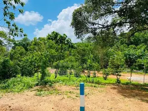 Land Plots in Ambalangoda