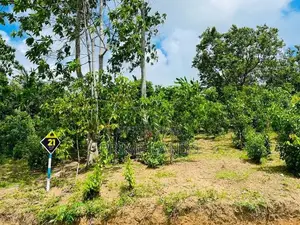 Land Plots in Ambalangoda