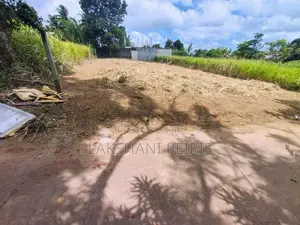 Kottawa Makubura Land for Rent
