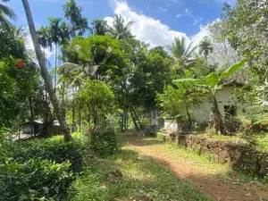 Rubber Gem Land for Sale Ratnapura