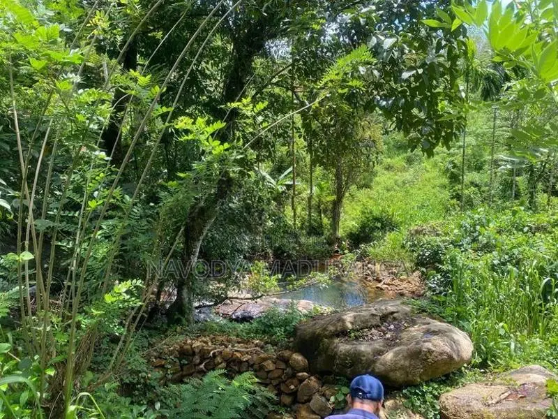 Rubber Gem Land for Sale Ratnapura