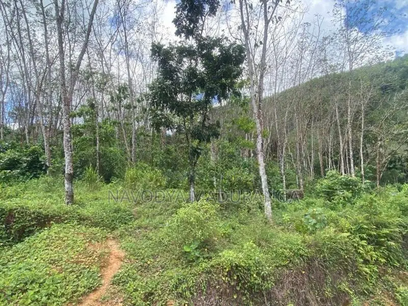 Rubber Gem Land for Sale Ratnapura