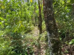 Rubber Gem Land for Sale Ratnapura