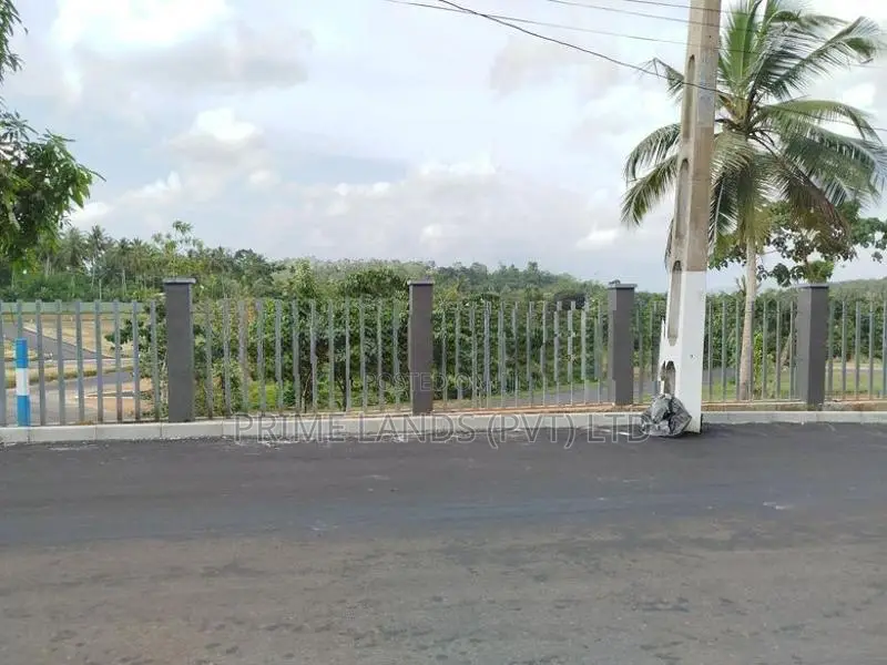 තලගල බෙරුකැටිය බිම් කොටස් විකිණීමට