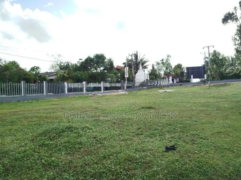 තලගල බෙරුකැටිය බිම් කොටස් විකිණීමට