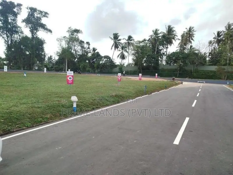 තලගල බෙරුකැටිය බිම් කොටස් විකිණීමට