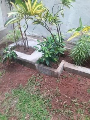 Land With a Usable House For sale in Station Rd Mount Lavinia [ 2256C 