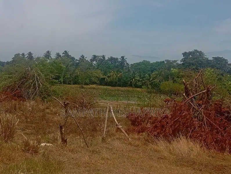 ඉඩමක් සමඟ නිවසක් විකිණීමට – ඇඹිලිපිටිය