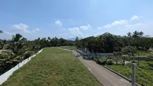 Kurunegala Ibbagamuwa A6 Road Facing Lands for Sale