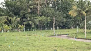 ඉබ්බාගමුව බස් පාරට ඉඩමක්